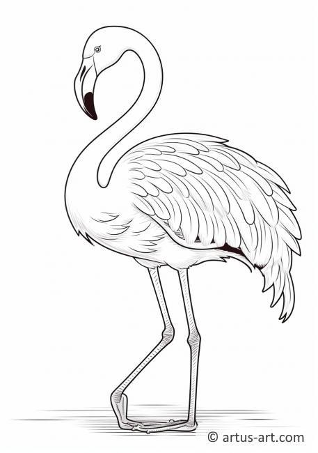 Flamingo Künstler Ausmalbild